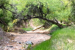 photo thumbnail #1