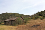 photo thumbnail #4