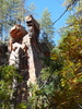 photo thumbnail #15