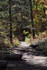 photo thumbnail #9