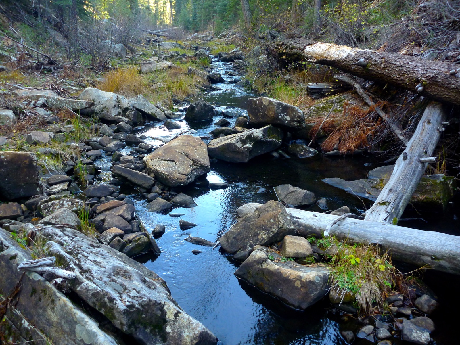 Willow Springs Canyon Mogollon Rim, AZ HikeArizona