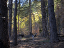 photo thumbnail #8