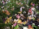 photo thumbnail #15