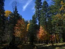 photo thumbnail #12