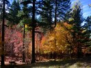 photo thumbnail #13