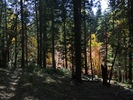 photo thumbnail #10