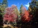 photo thumbnail #1