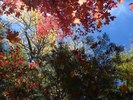 photo thumbnail #6