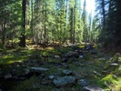 photo thumbnail #14