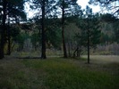 photo thumbnail #14