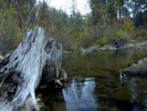 photo thumbnail #11