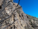 photo thumbnail #2