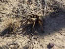 photo thumbnail #3