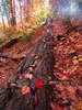 photo thumbnail #2