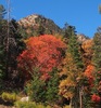 photo thumbnail #6
