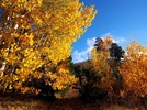 photo thumbnail #12