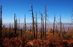 photo thumbnail #14