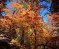 photo thumbnail #15