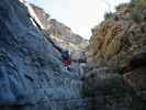 photo thumbnail #9