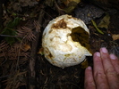 photo thumbnail #3