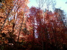 photo thumbnail #12