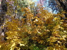photo thumbnail #15