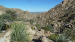 photo thumbnail #12