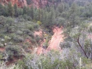 photo thumbnail #8