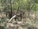 photo thumbnail #4