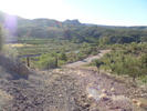 photo thumbnail #1