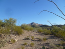 photo thumbnail #3