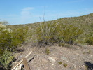 photo thumbnail #4