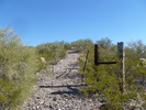 photo thumbnail #10