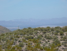 photo thumbnail #12