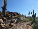 photo thumbnail #15