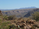 2012-10-20 :2: Aravaipa Canyon :: kingsnake