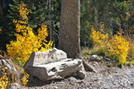 photo thumbnail #3