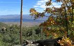 photo thumbnail #3
