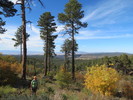 photo thumbnail #13