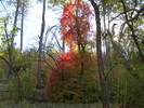 photo thumbnail #14