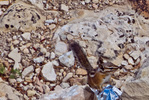 photo thumbnail #10