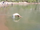 photo thumbnail #8
