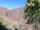 photo thumbnail #12