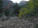 photo thumbnail #15
