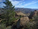 photo thumbnail #13