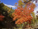 photo thumbnail #10
