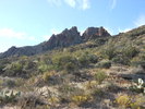 photo thumbnail #5