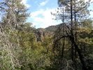 photo thumbnail #5