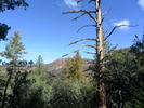 photo thumbnail #7