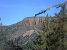 photo thumbnail #8